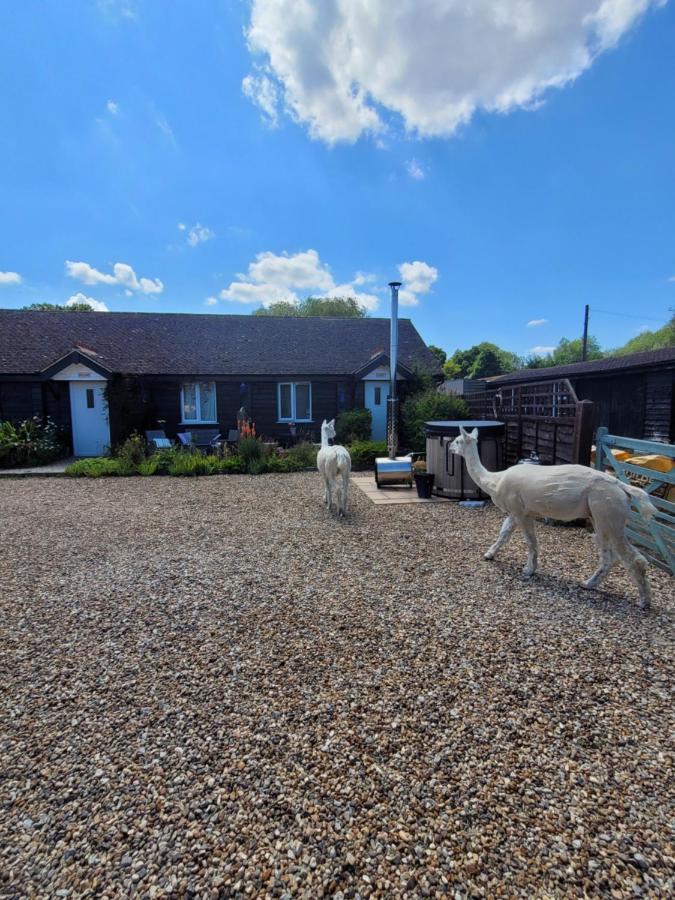 Birch Cottage With Private Wood Fire Hot Tub Harrietsham Bagian luar foto